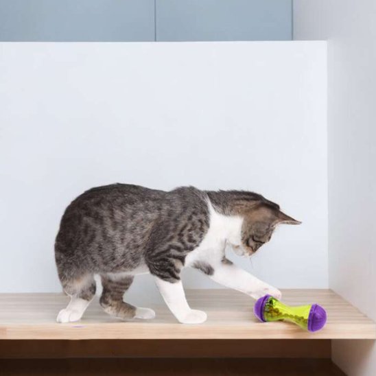 Jouet Chat