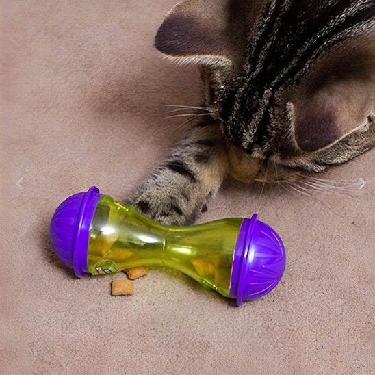 Jouet Chat