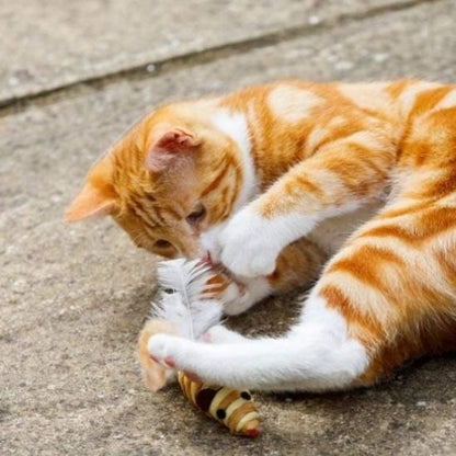 Jouet Chat