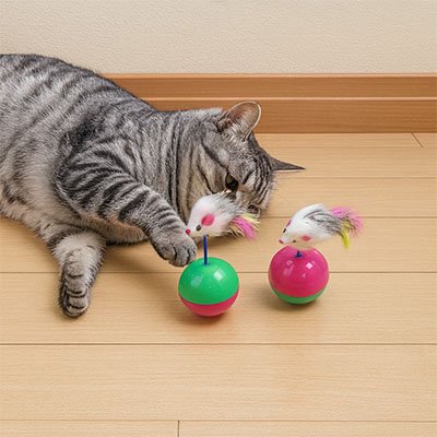 Jouet Chat