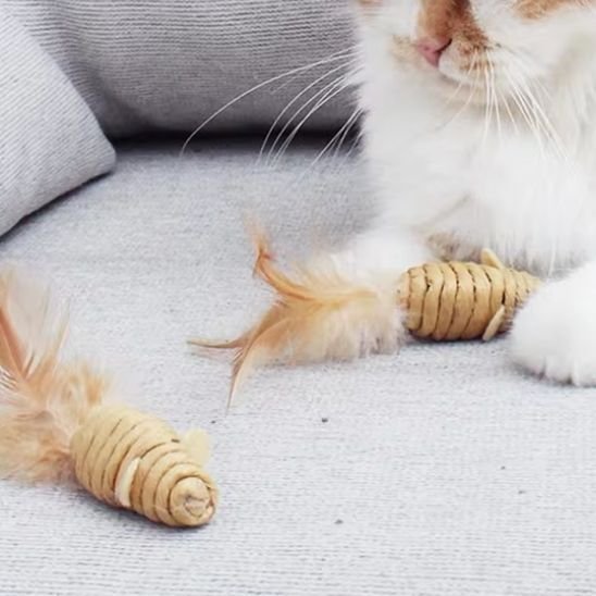 Jouet Chat