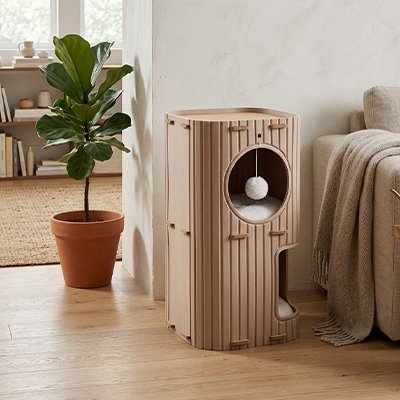 Niche pour  chat double espace