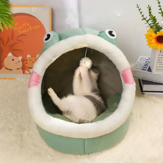 Niche pour Chat I Design semi-fermé