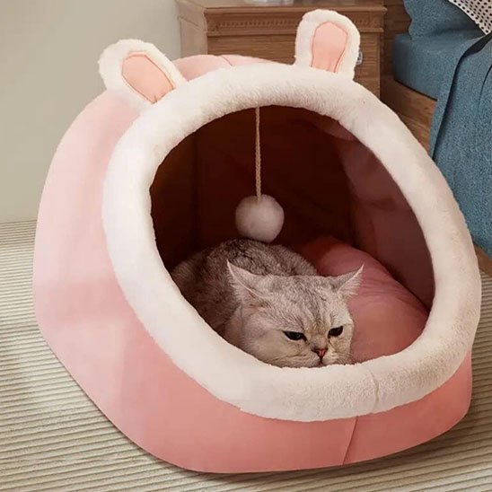 Niche pour Chat I Design semi-fermé