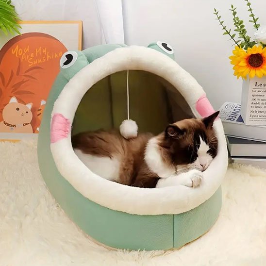 Niche pour Chat I Design semi-fermé