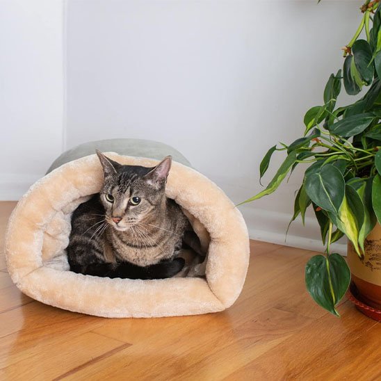 Panier Chat Gris