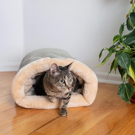 Panier Chat Gris