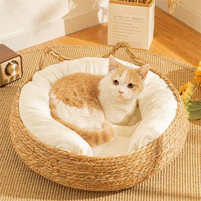 Panier osier Chat