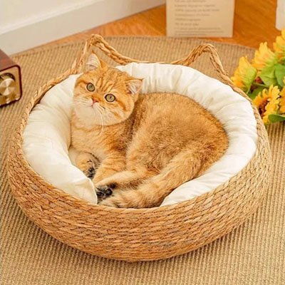Panier osier Chat