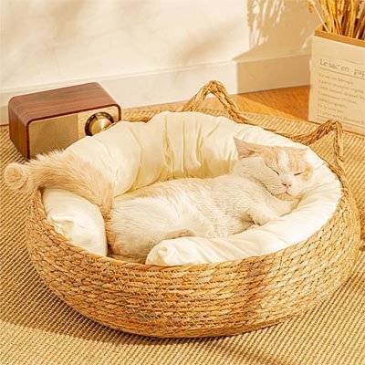 Panier osier Chat