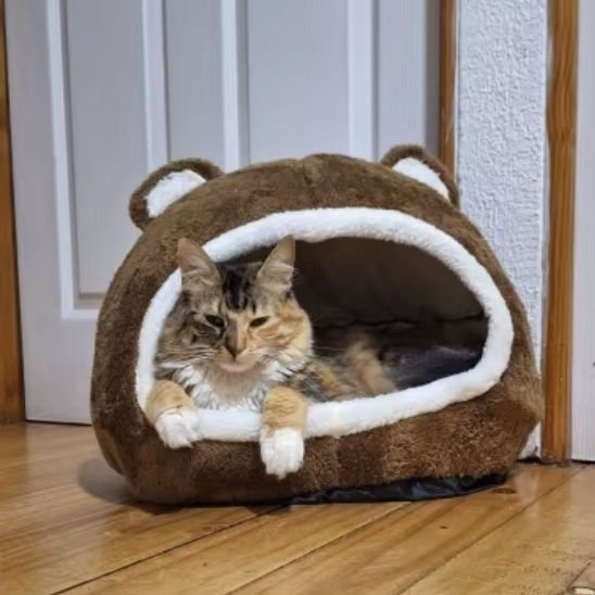 Panier pour Chat Tête d'ourson