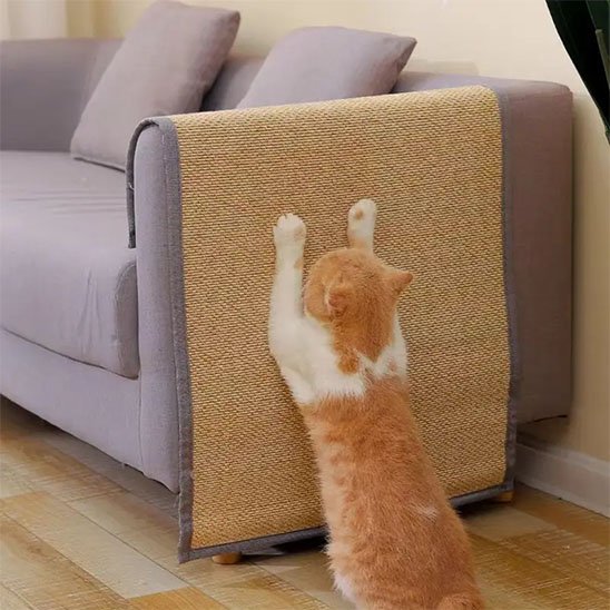 Protection canapé Chat