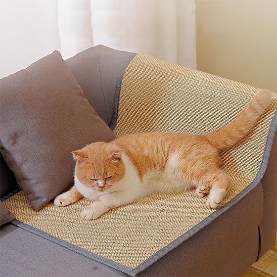 Protection canapé Chat