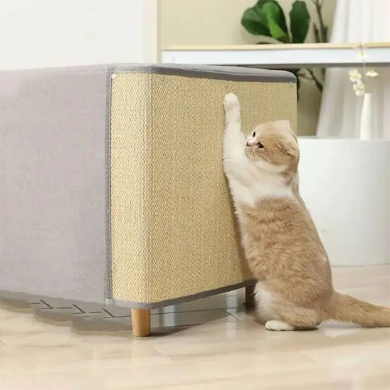 Protection canapé Chat