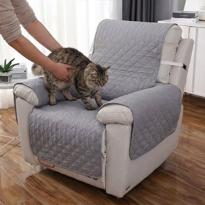 Protection canapé Chat gris