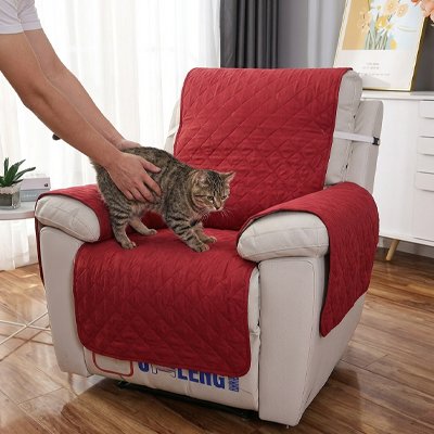 Protection canapé Chat rouge