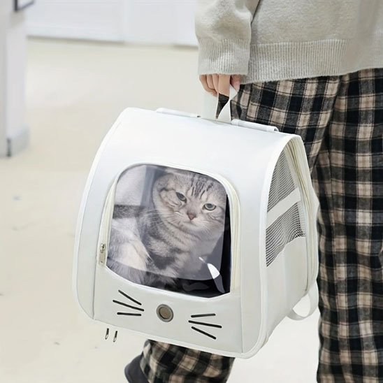 Sac a dos Chat