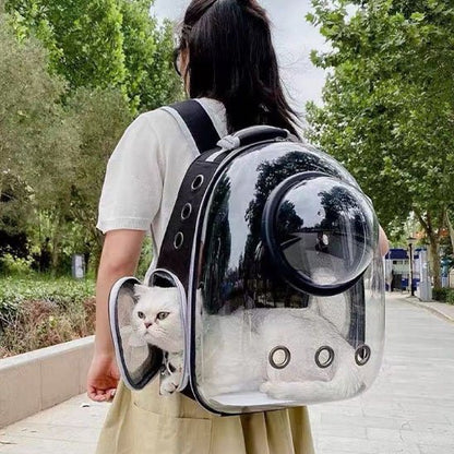 Sac de transport Chat
