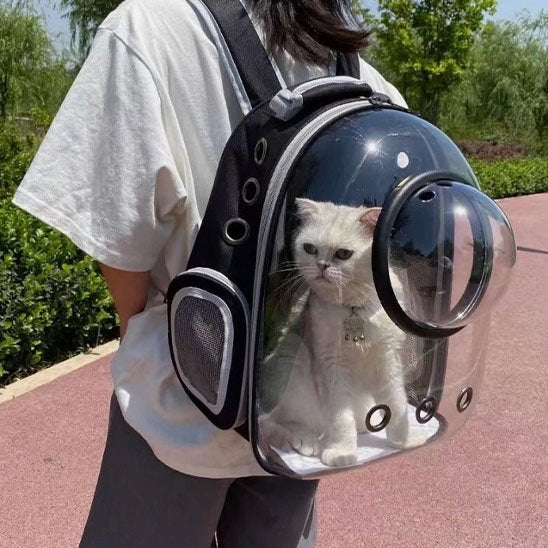Sac de transport Chat