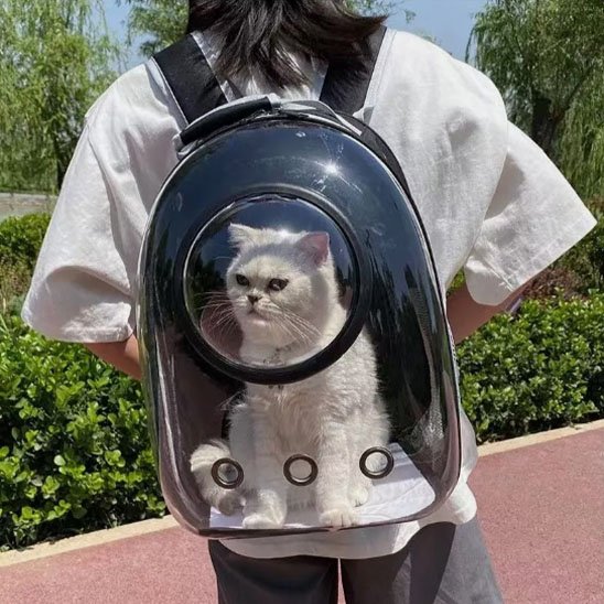 Sac de transport Chat