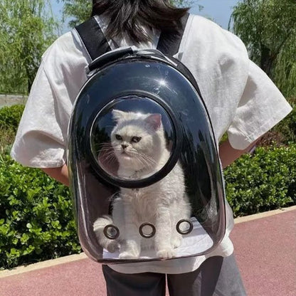 Sac de transport Chat