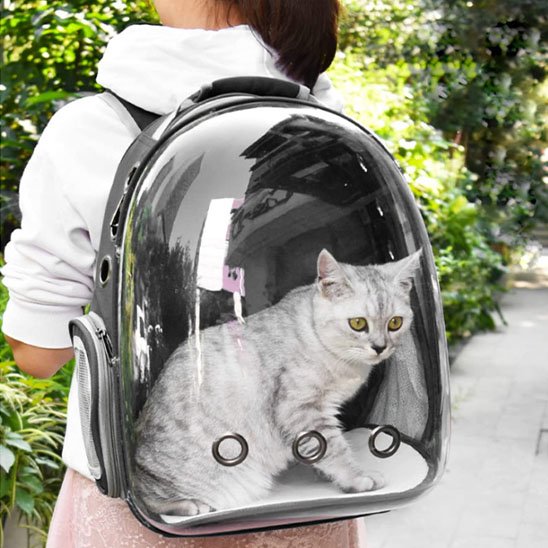 Sac de transport Chat