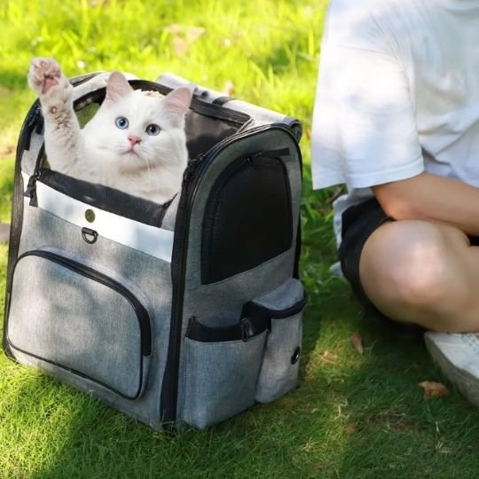Sac de transport pour Chat Gris 