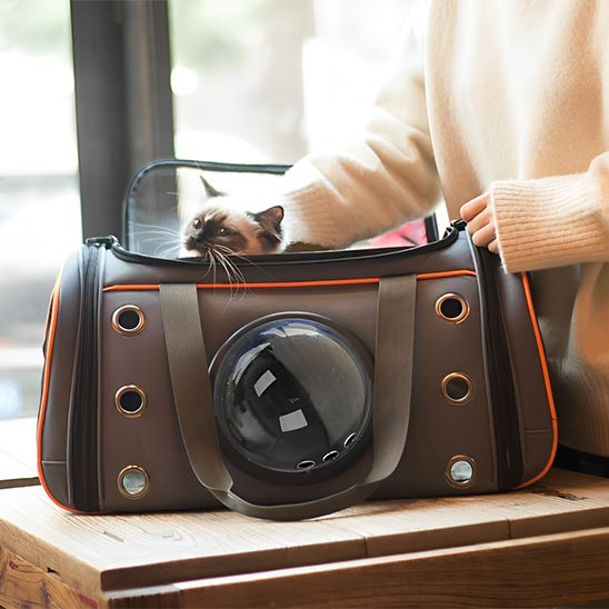 Sac de transport pour Chat