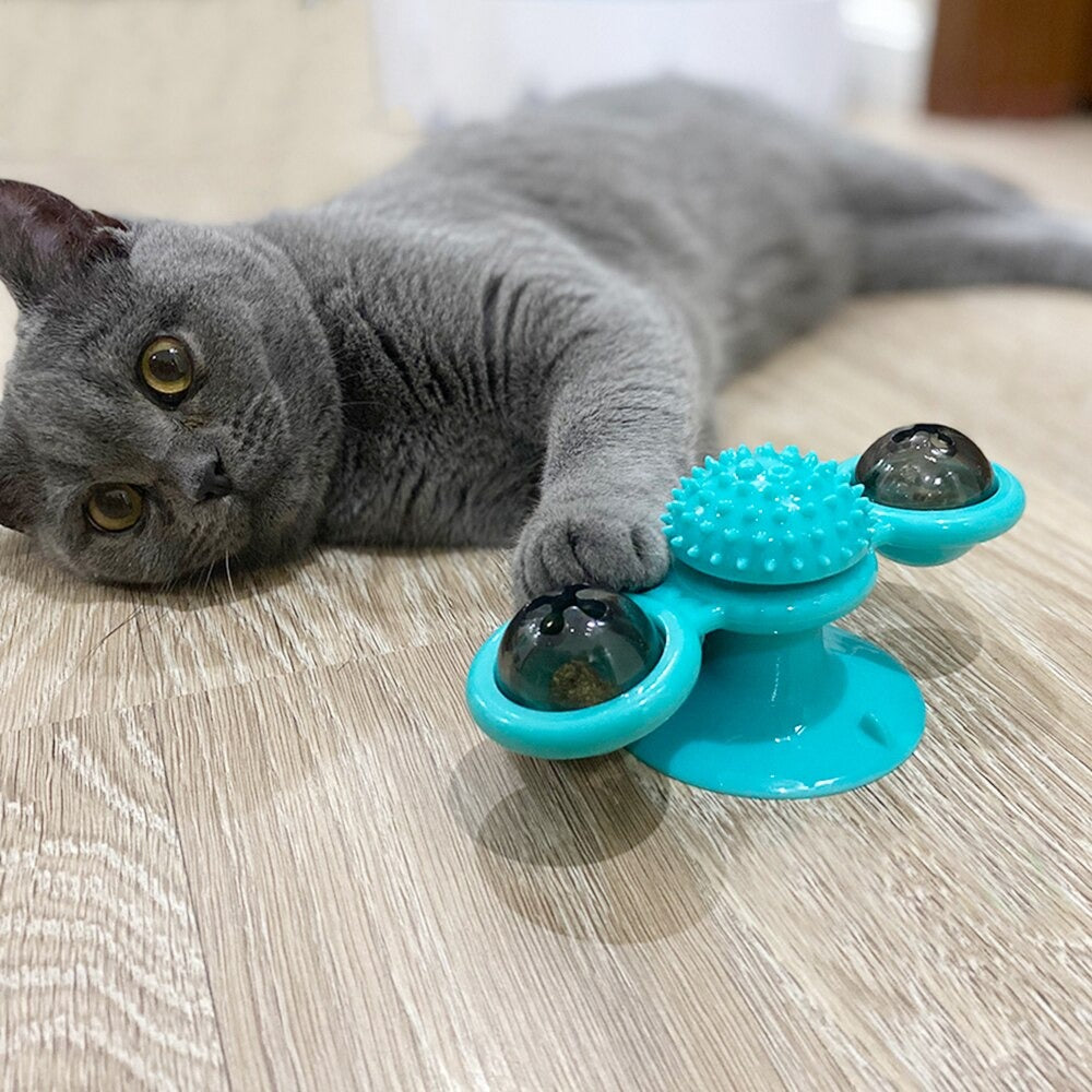 SPIRALTOY™ | MOULIN A VENT POUR CHAT| - {{ CHAT & CIE }}