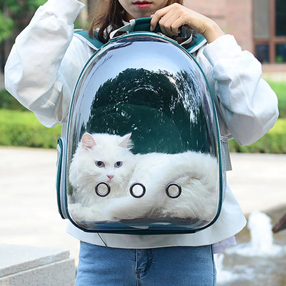 SKALL™ | SAC DE TRANSPORT VISION SPHERIQUE | - {{ CHAT & CIE }}